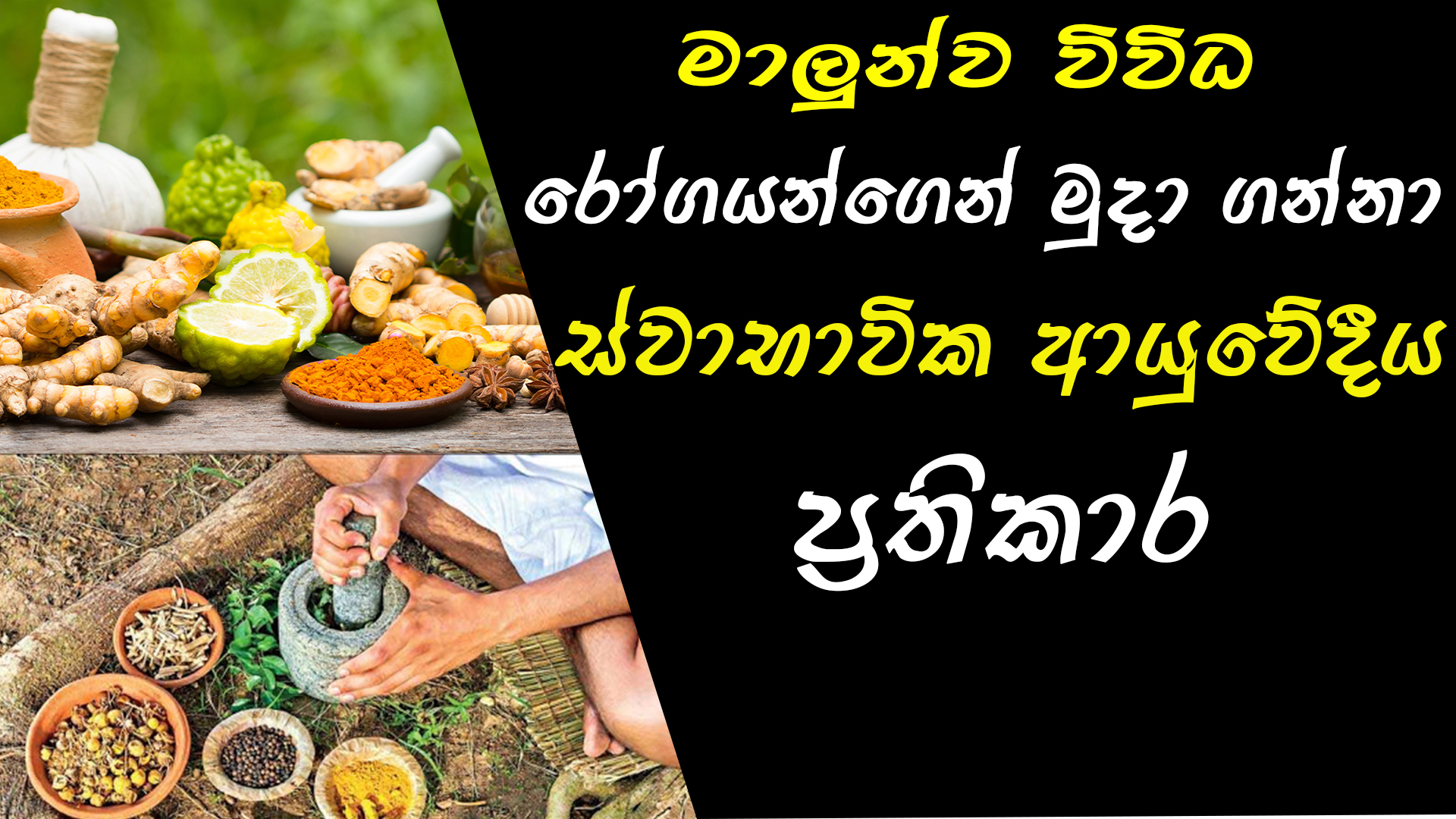 Herbal Treatments For Fish Disease [Sinhala] FishFix SriLanka