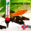 Temperature Stress on Fish