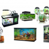 The Best Aquariums for Your Ornamental Fish