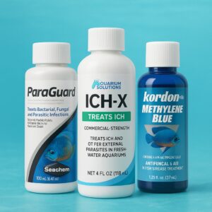 Fish Medicine
